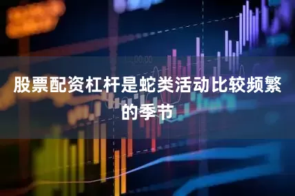 股票配资杠杆是蛇类活动比较频繁的季节