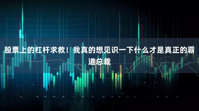 股票上的杠杆求救！我真的想见识一下什么才是真正的霸道总裁