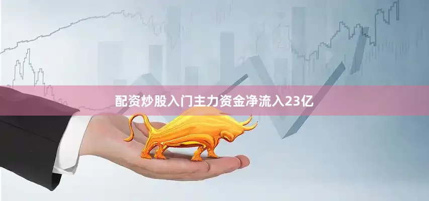 配资炒股入门主力资金净流入23亿